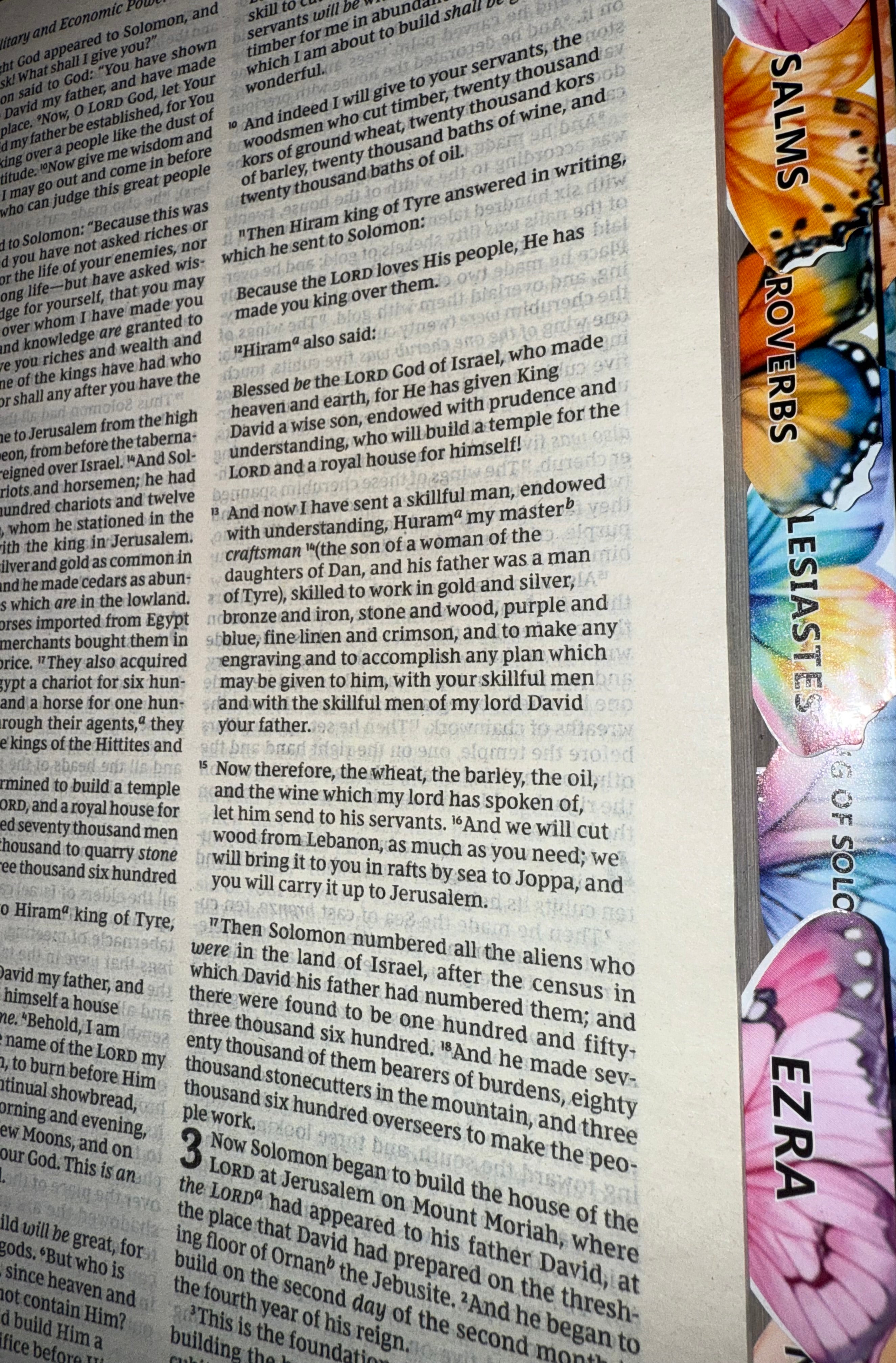 Silver Cross/ Butterfly Tabs